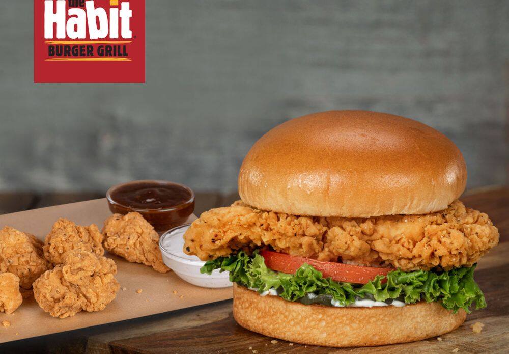 The Habit Burger Grill Rolls Out their New Crispy Chicken Sandwich and Chicken Bites The Habit Burger Grill Rolls Out their New Crispy Chicken Sandwich and Chicken Bites