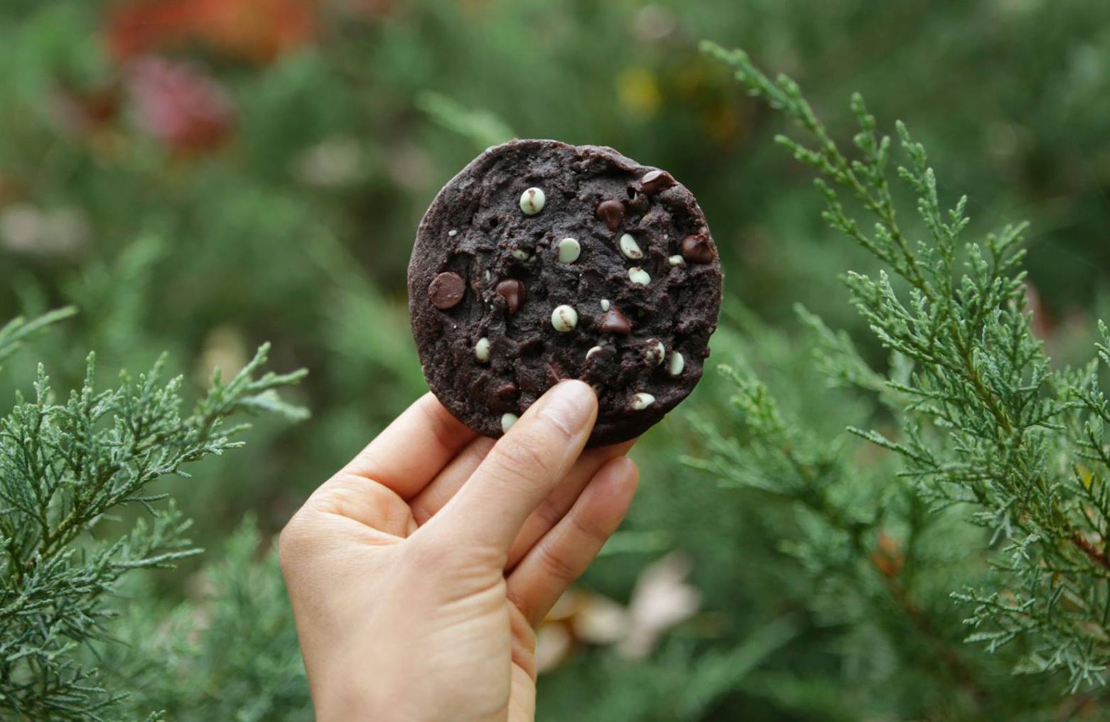 Subway’s Decadent Double Chocolate Cookie Returns for a Short Time